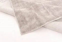 Viscose-vloerkleed - Jodhpur (lichtgrijs/beige)