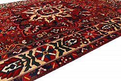 Perzisch tapijt Hamedan 288 x 200 cm