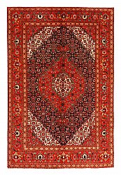 Perzisch tapijt Hamedan 309 x 205 cm