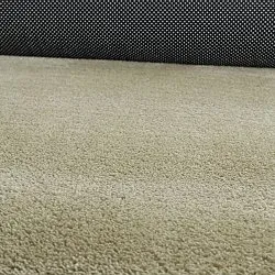 Asymmetrisch Golvend Shaggy Vloerkleed - Aranga Super Soft Fur (lichtgroen)