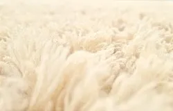 Wollen-vloerkleed - Aliste Wool Shaggy (alabaster gleam)