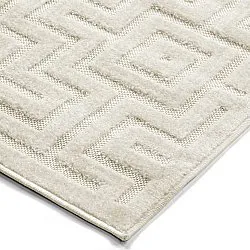Shaggy Indoor/Outdoor - Oneida (room)