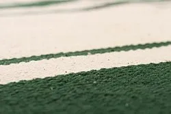 Voddenkleed - Wimbledon (groen)
