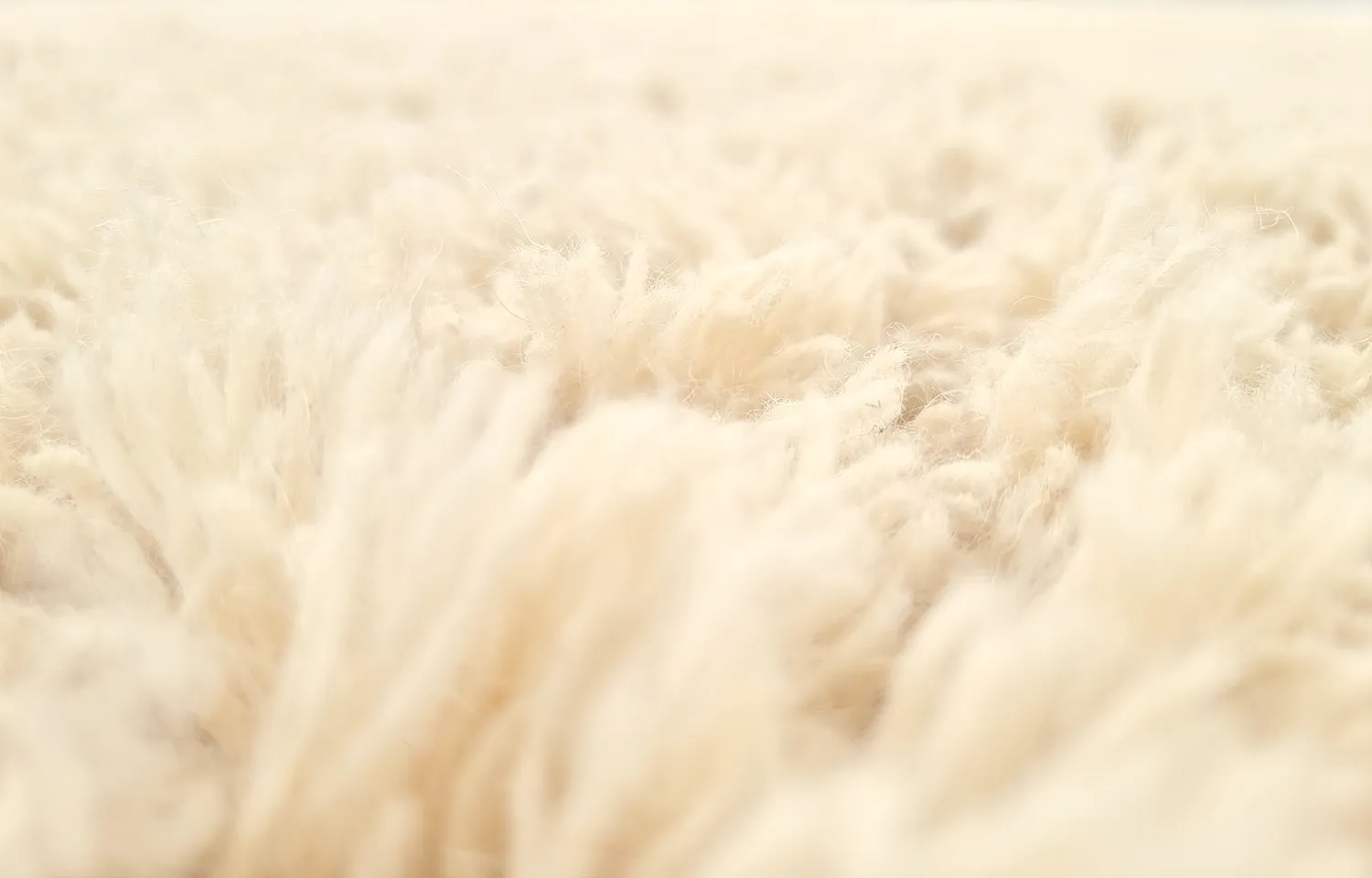Wollen-vloerkleed - Aliste Wool Shaggy (alabaster gleam)
