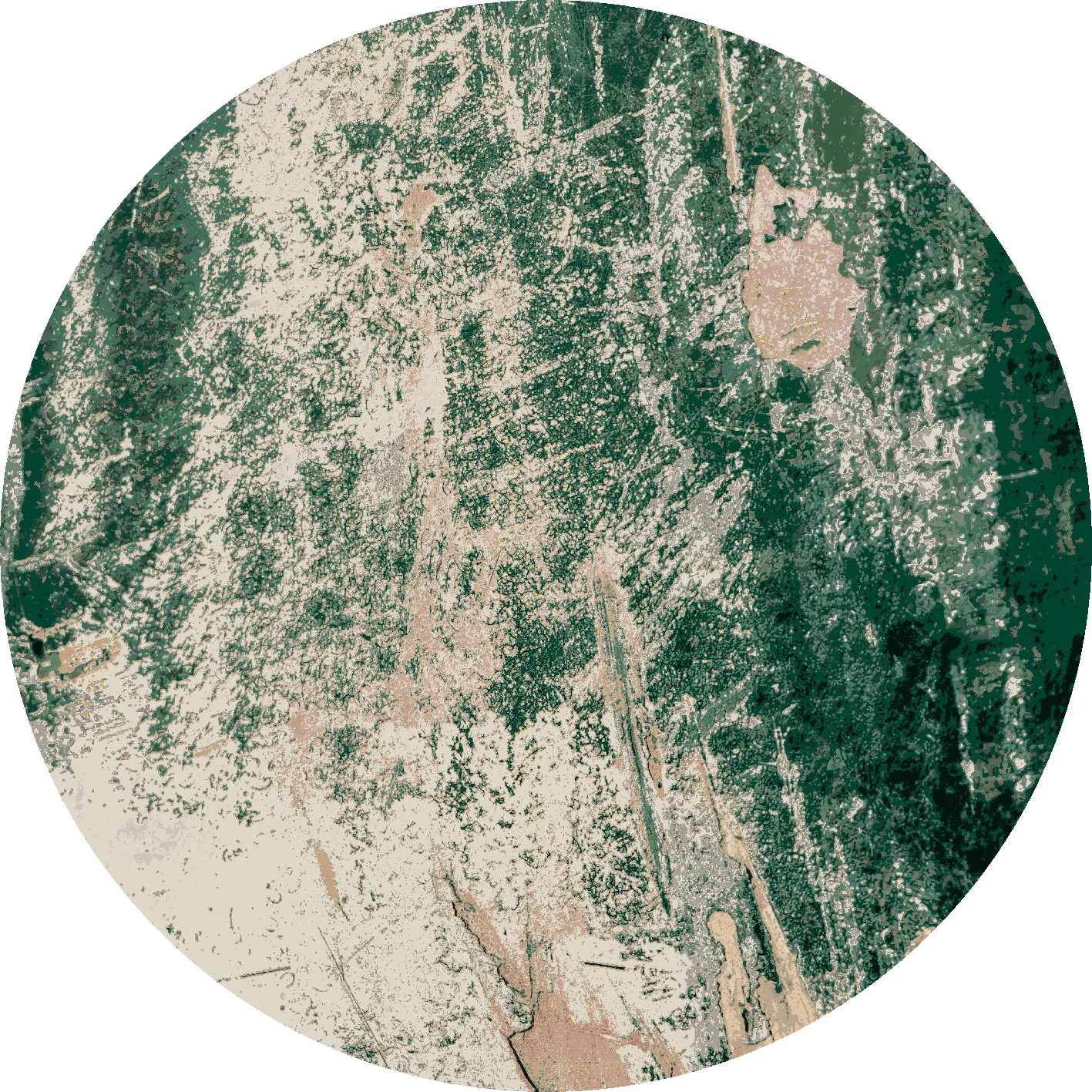 Rond vloerkleed - Tamalous (beige/groen)