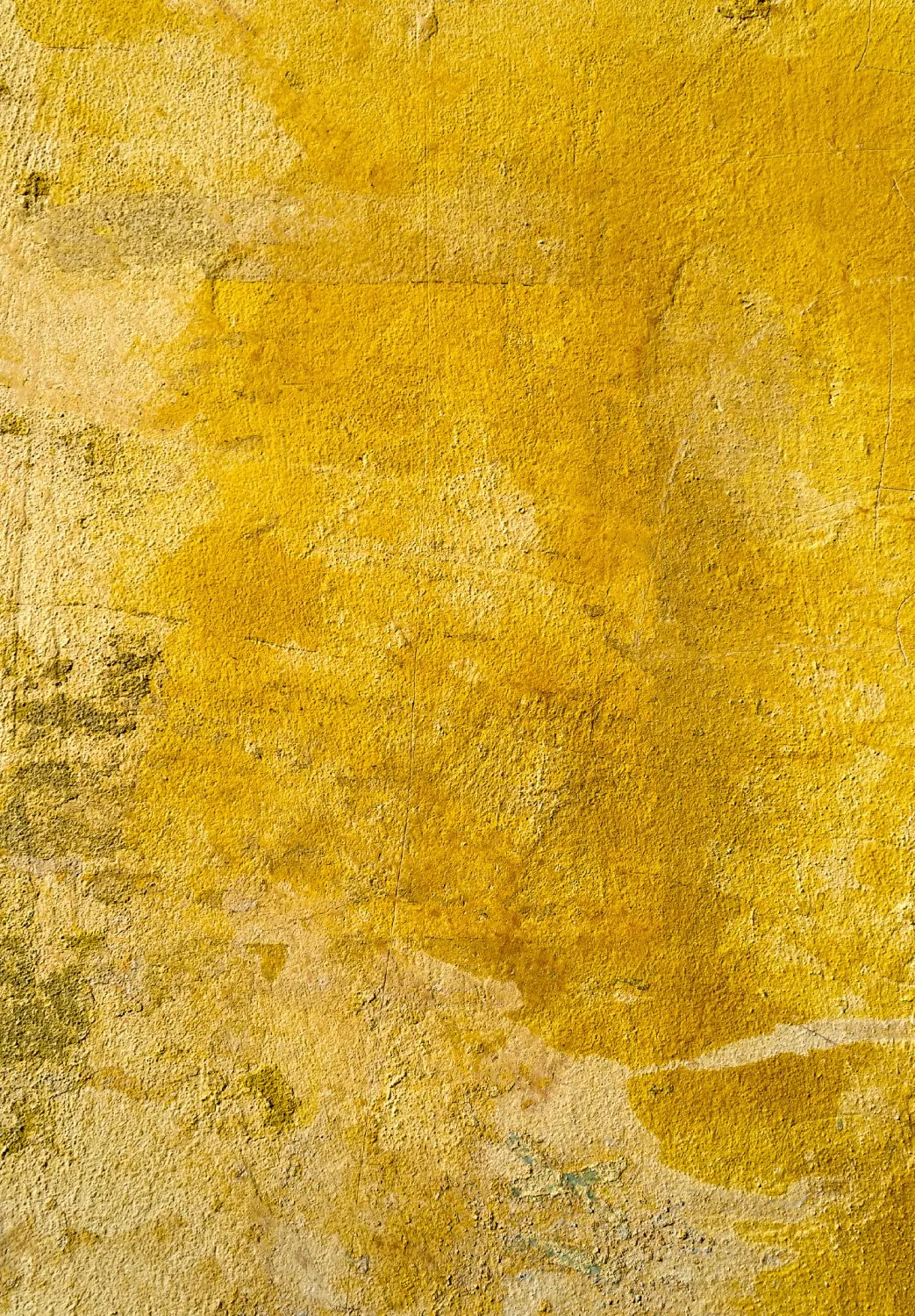 Wilton - Arbus (goud)