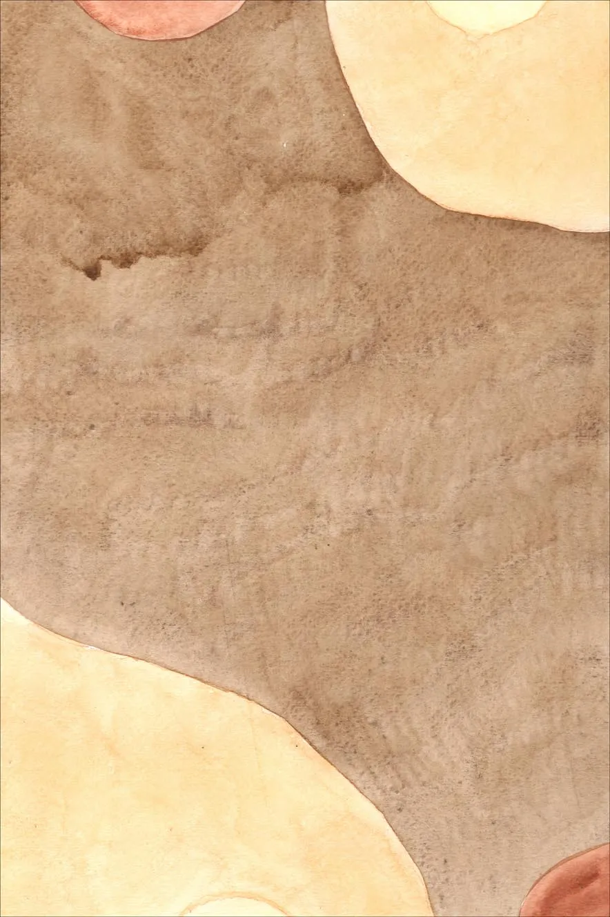 Wilton - Nisa (bruin/beige)