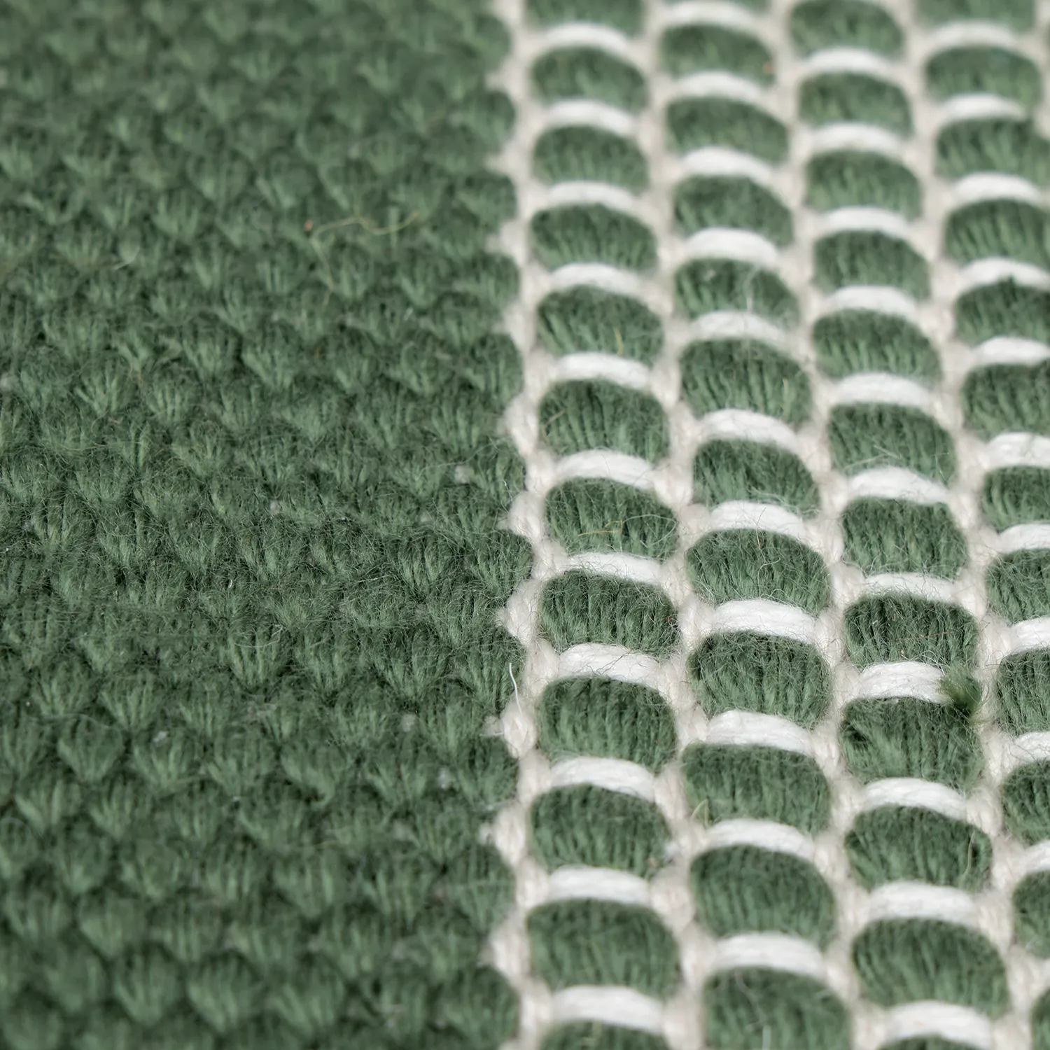 Vloerkleden voor binnen en buiten - Coastal Wool Look (groen/wit)