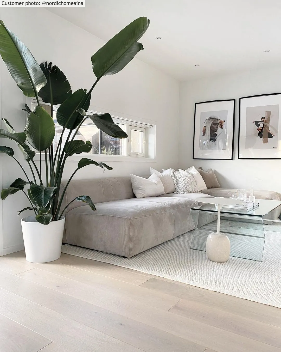 Wollen-vloerkleed - Coastal (wit)